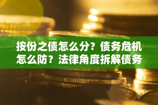 北京按份之债怎么分？债务危机怎么防？法律角度拆解债务分配与风险自保指南