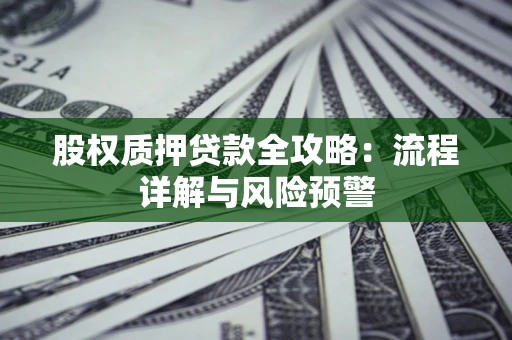 北京股权质押贷款全攻略：流程详解与风险预警